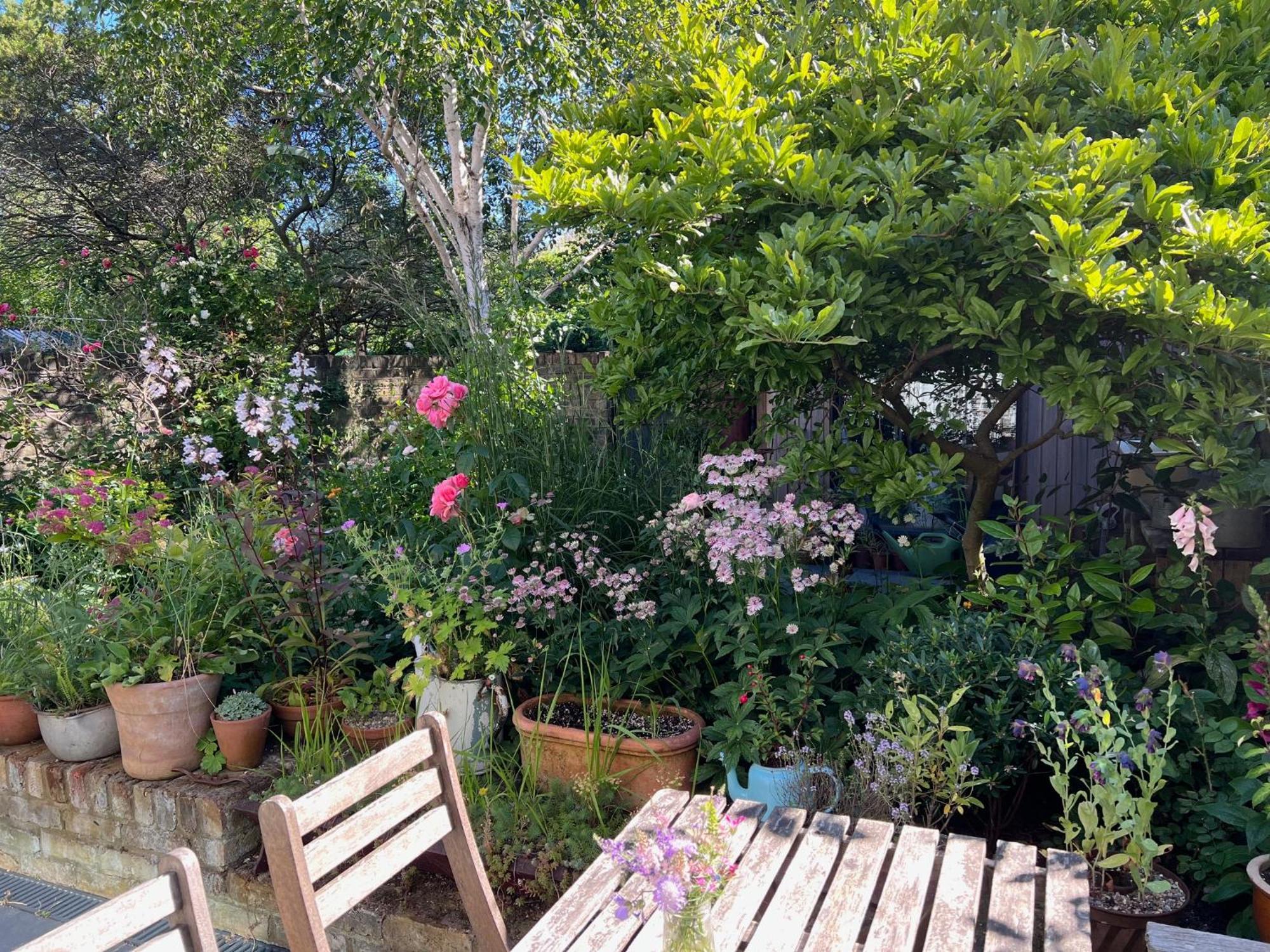 Bright And Elegant 2 Bedroom Flat, Near Notting Hill Londyn Zewnętrze zdjęcie