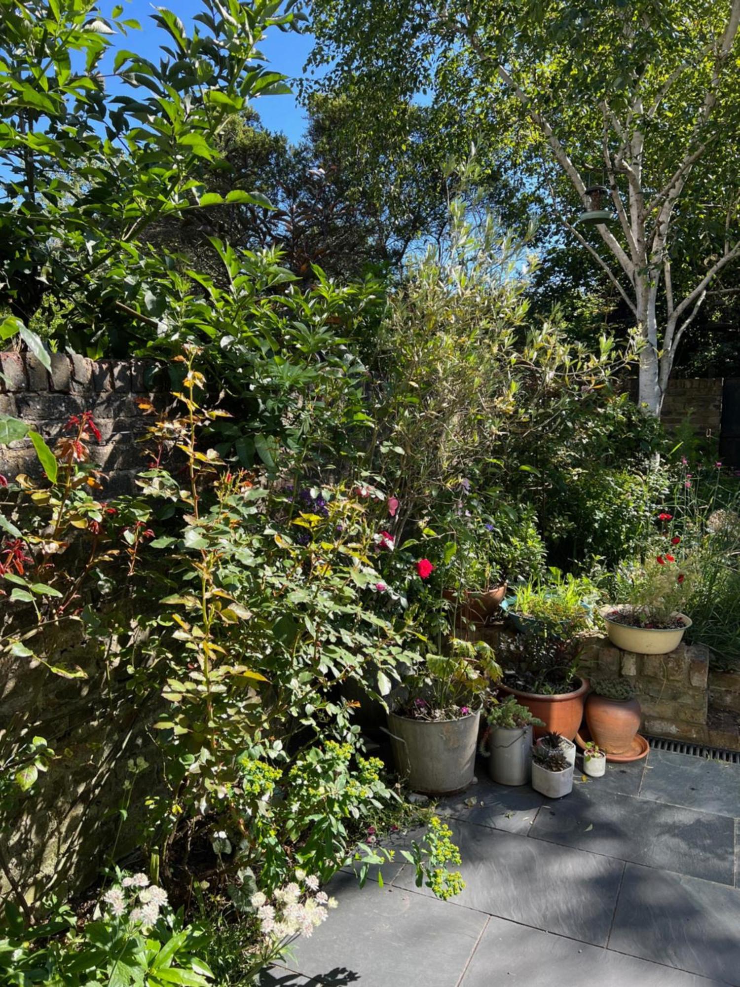 Bright And Elegant 2 Bedroom Flat, Near Notting Hill Londyn Zewnętrze zdjęcie
